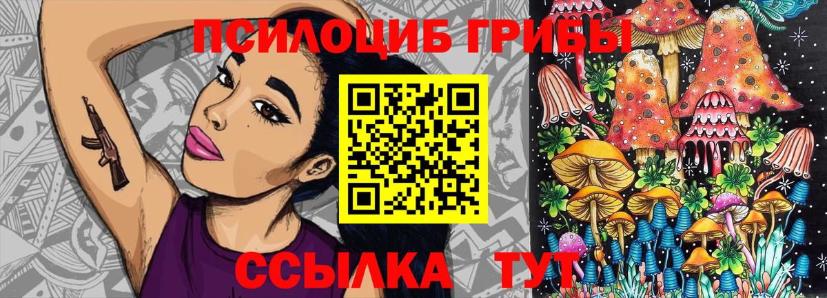 Псилоцибиновые грибы прущие грибы Волжск
